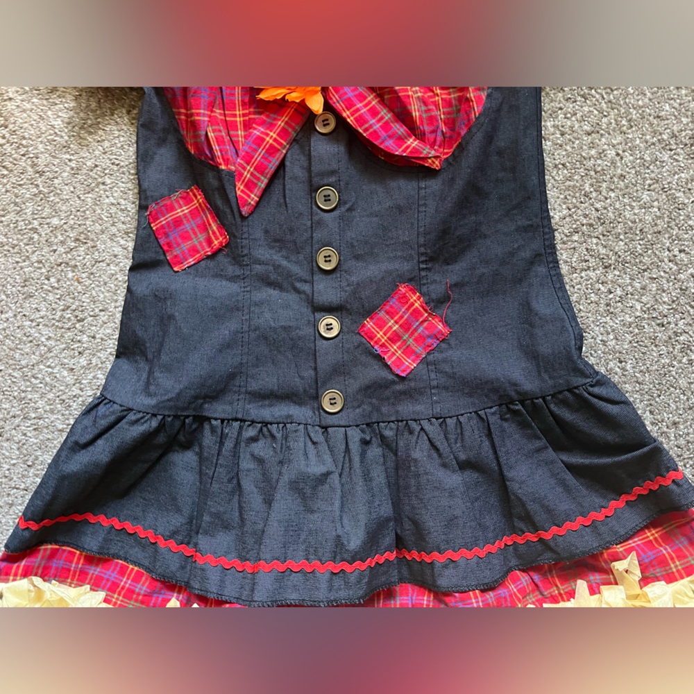 Spirit Halloween Scarecrow Sweetie Costume Set Hat & Dress Sexy Plaid & Denim - Picture 7 of 16